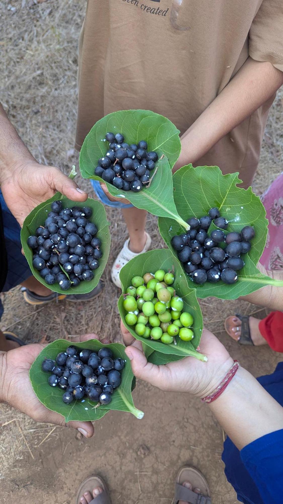 Arpita Farmstay Малван Экстерьер фото